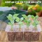 5Pack Seed Starter Tray Plant Starter Kit with Domes Greenhouse Germination Kit